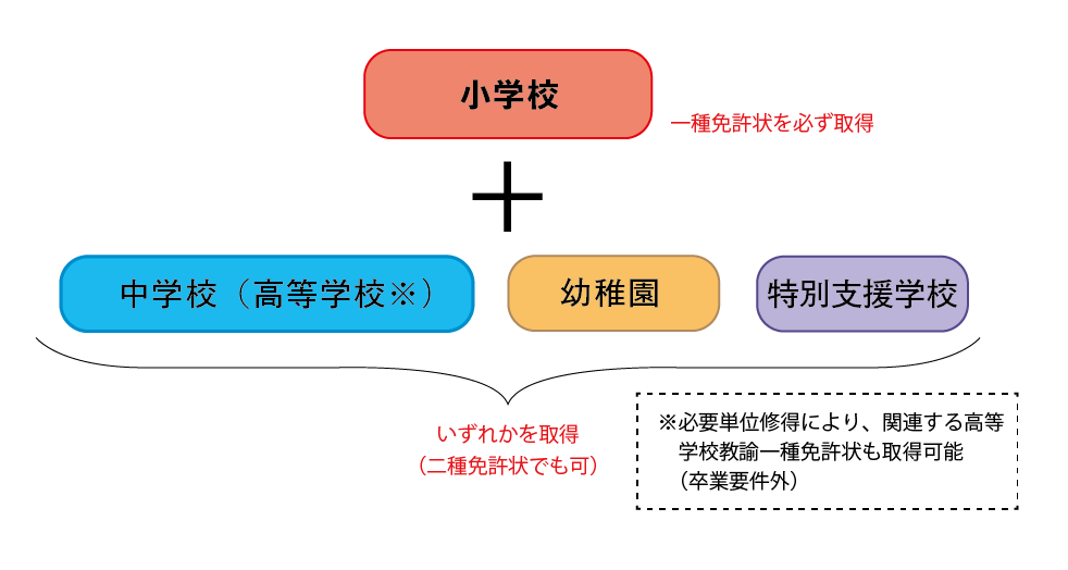 本学部における免許取得のイメージ図